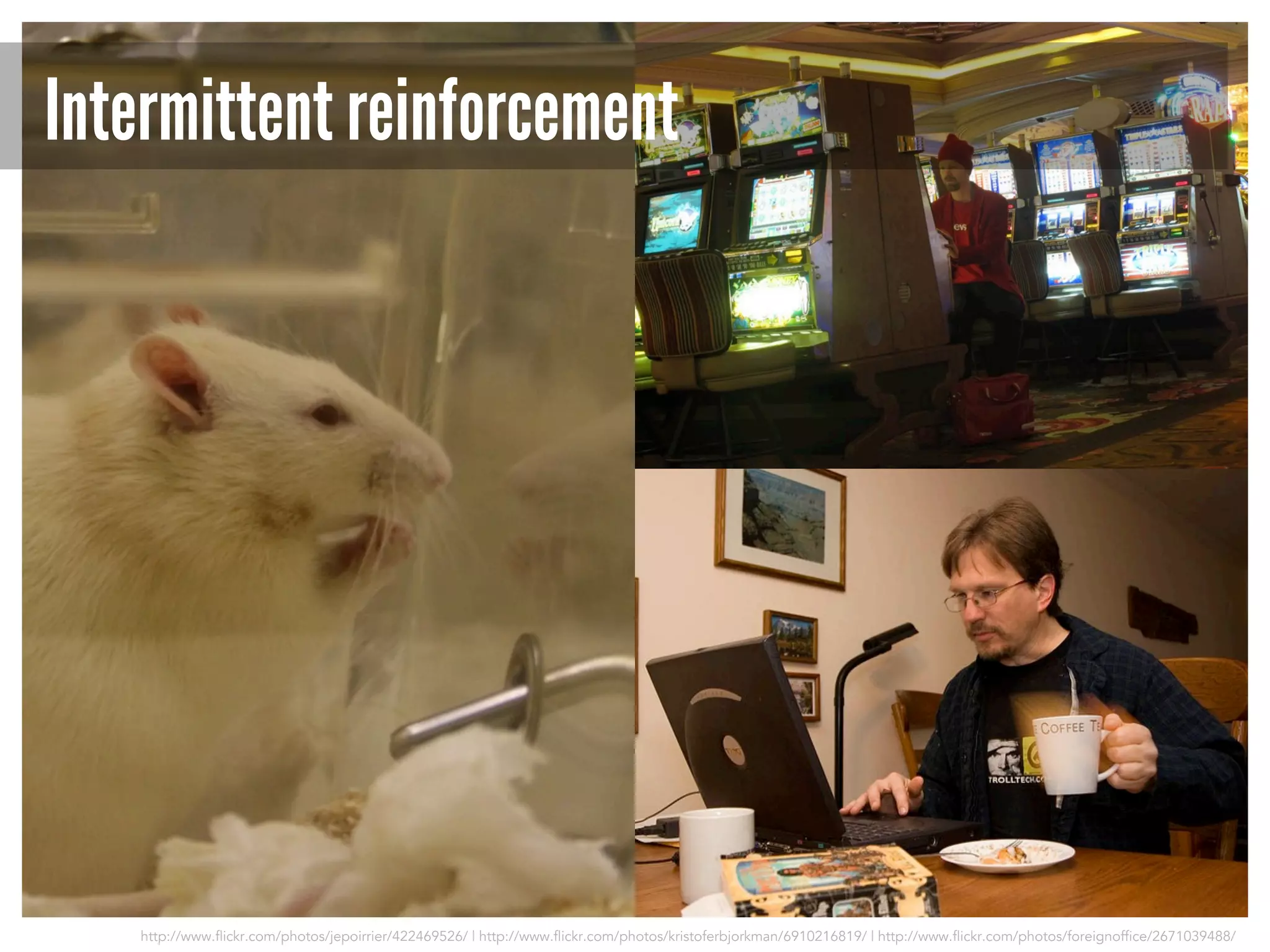 Intermittent reinforcement

http://www.flickr.com/photos/jepoirrier/422469526/ | http://www.flickr.com/photos/kristoferbjorkman/6910216819/ | http://www.flickr.com/photos/foreignoffice/2671039488/

 