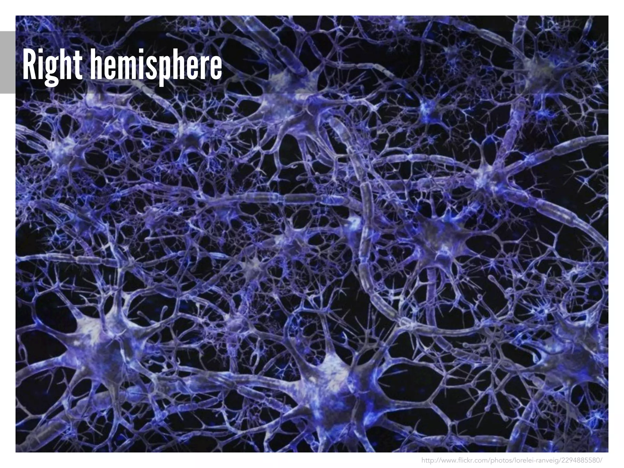 Right hemisphere

http://www.flickr.com/photos/lorelei-ranveig/2294885580/

 