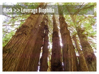 Hack >> Leverage Biophilia

http://www.flickr.com/photos/verifex/3782787057/

 