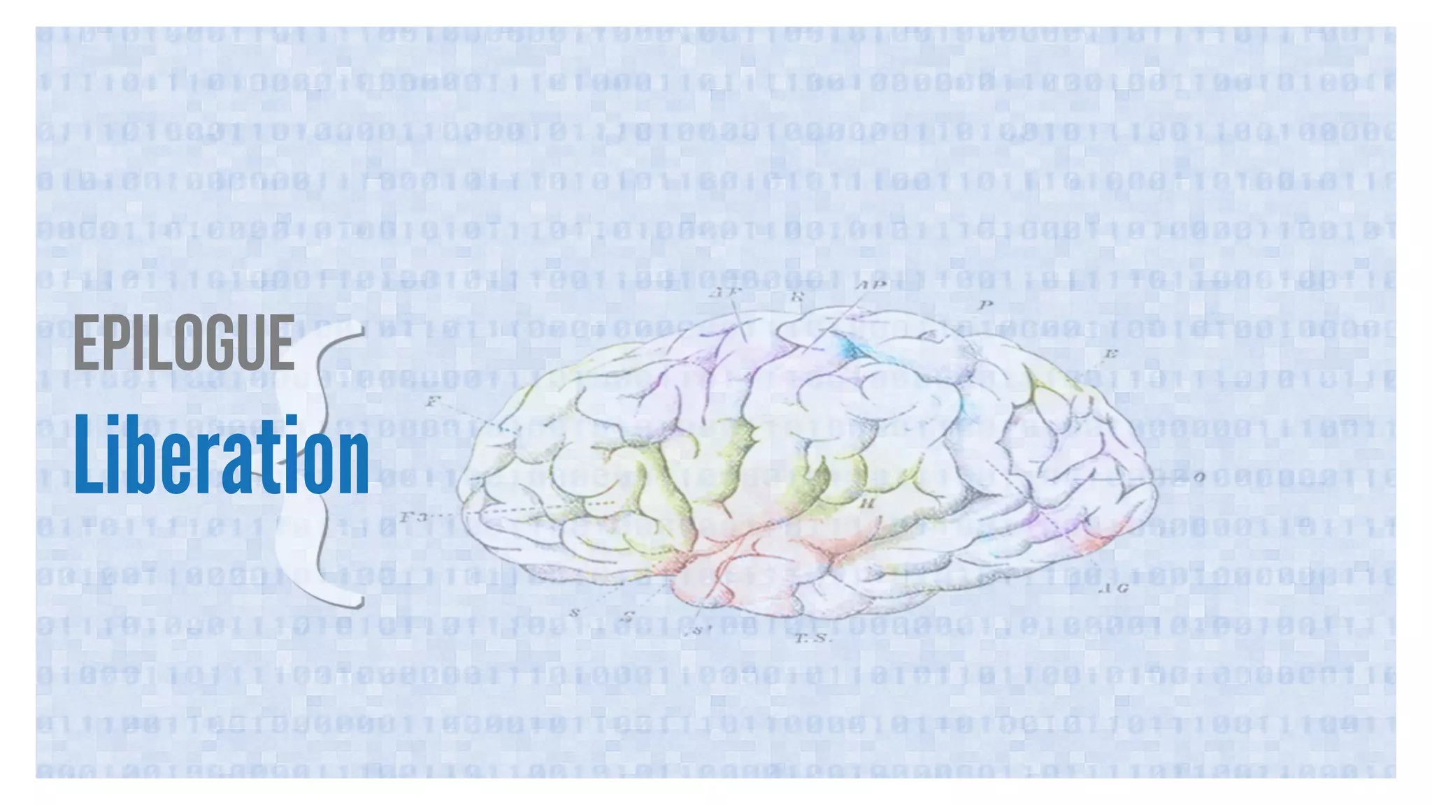 Epilogue 
Liberation 
 