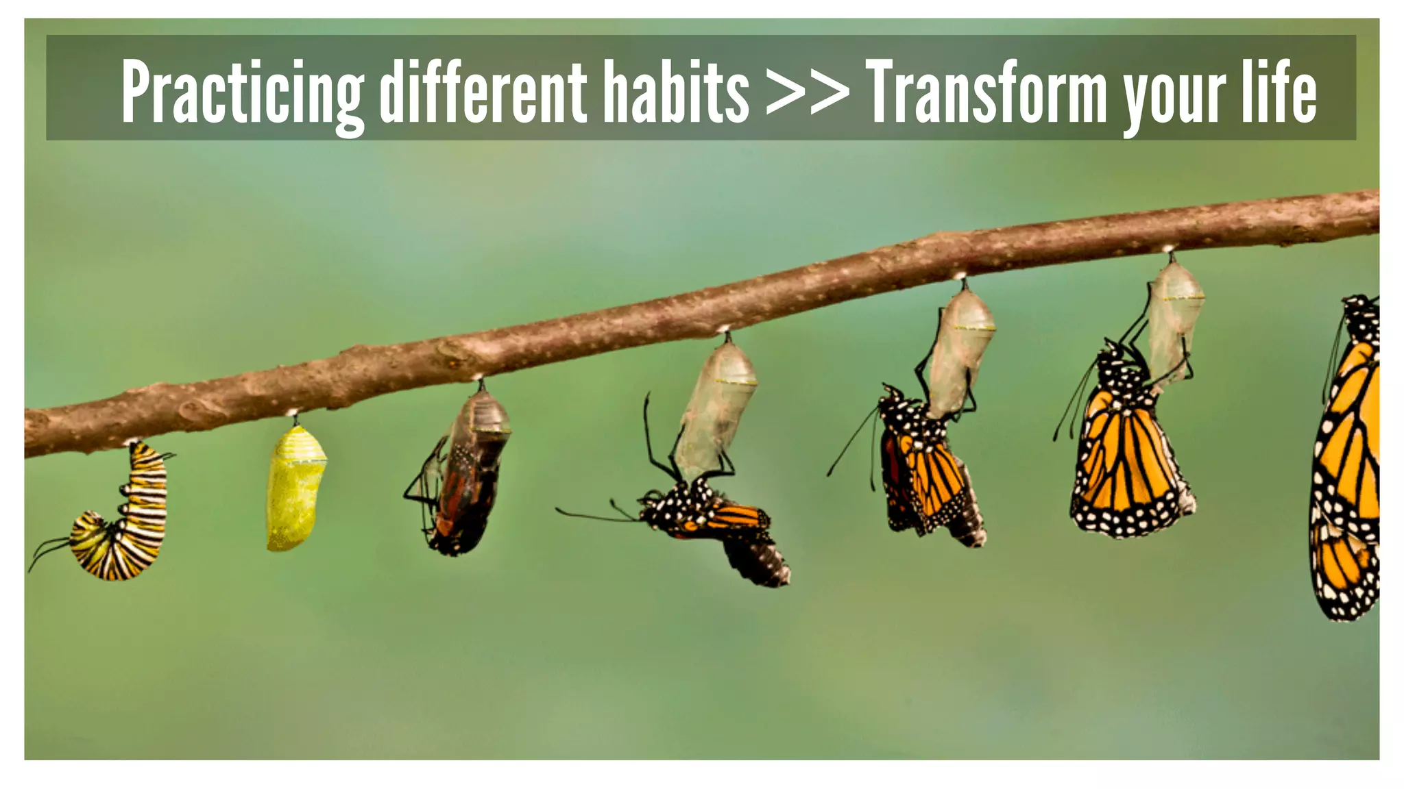 Practicing different habits >> Transform your life 
 