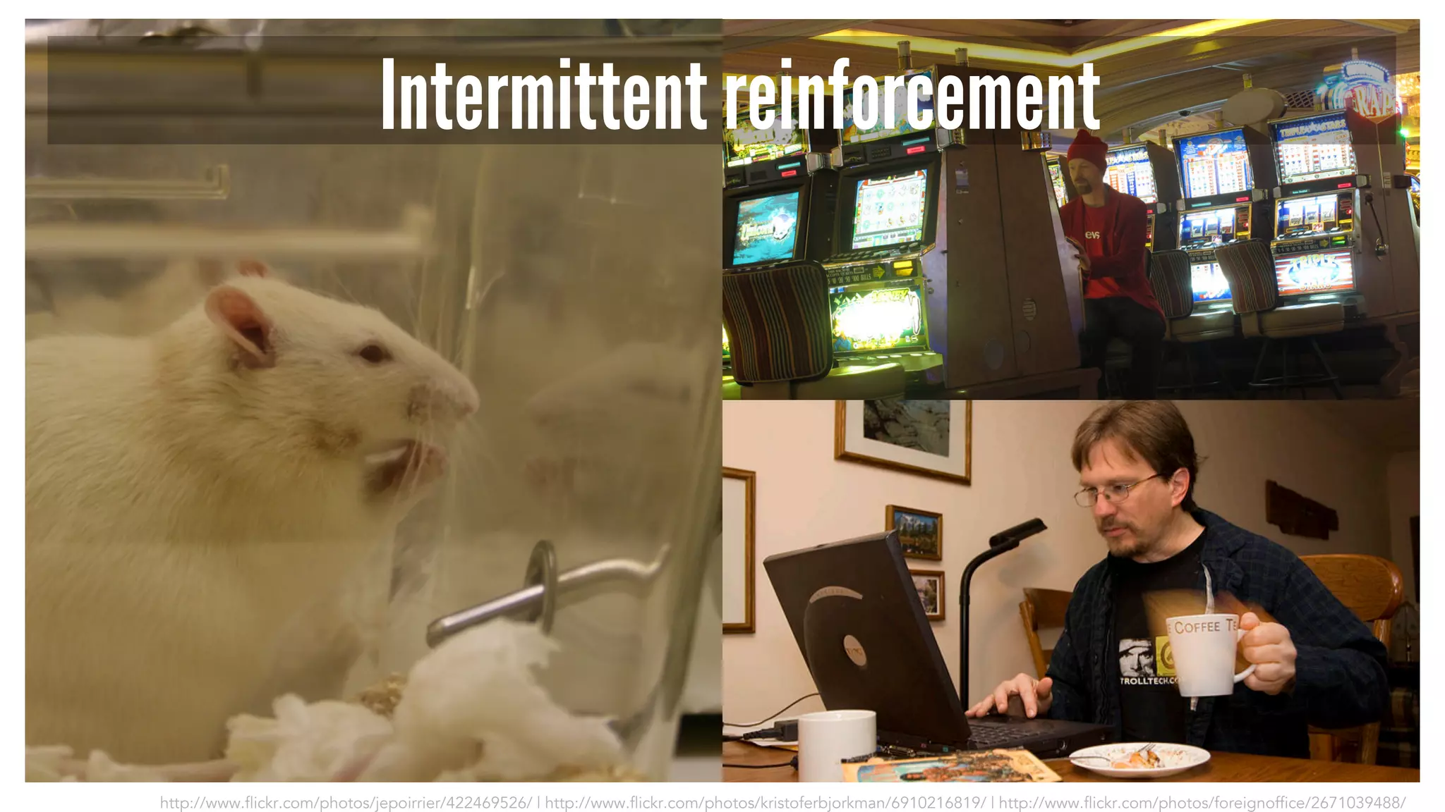 Intermittent reinforcement 
http://www.flickr.com/photos/jepoirrier/422469526/ | http://www.flickr.com/photos/kristoferbjorkman/6910216819/ | http://www.flickr.com/photos/foreignoffice/2671039488/ 
 