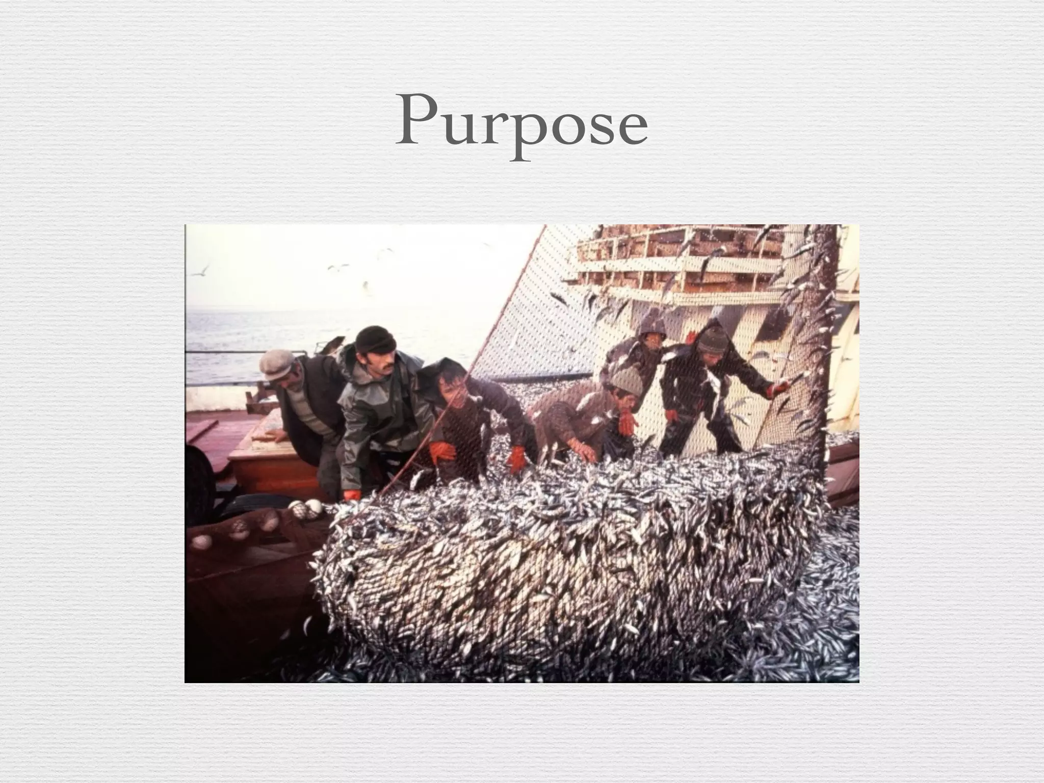 Purpose
 
