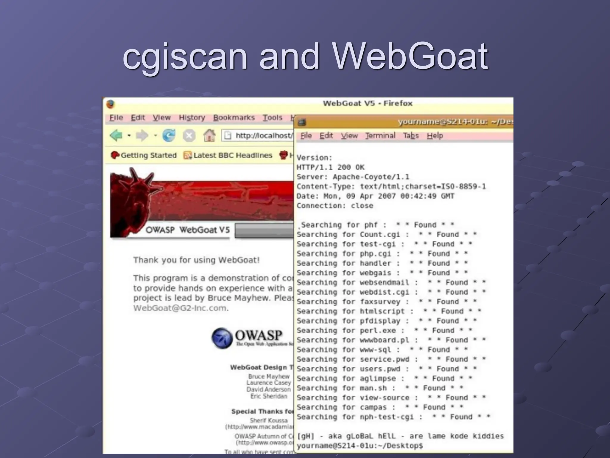 cgiscan and WebGoat
 