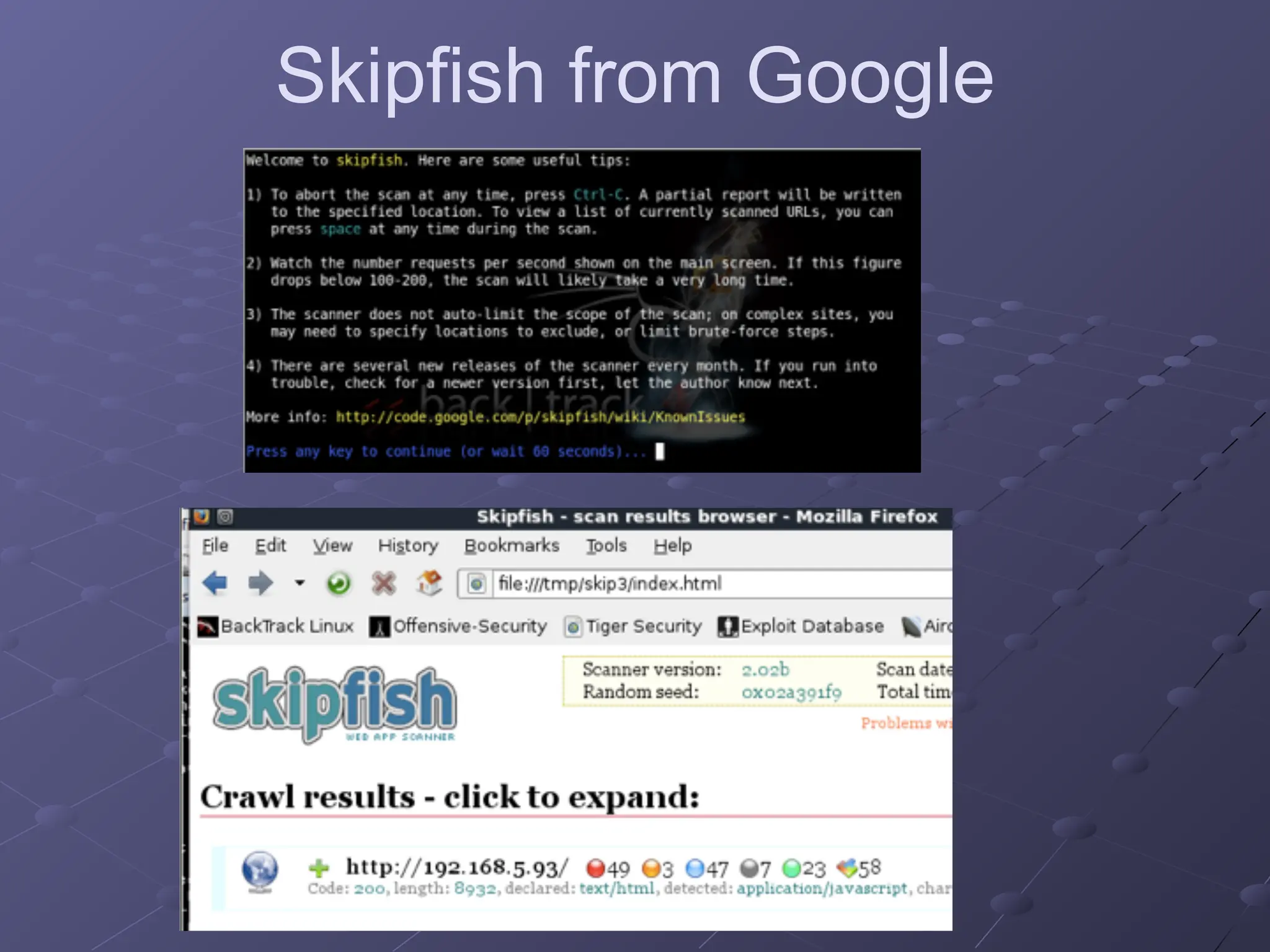 Skipfish from Google
 