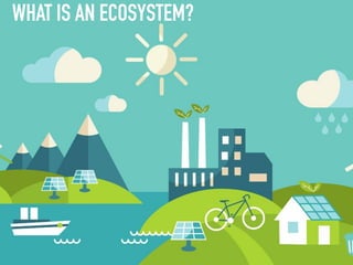 Creating a healthy organisational ecosystem | PPT