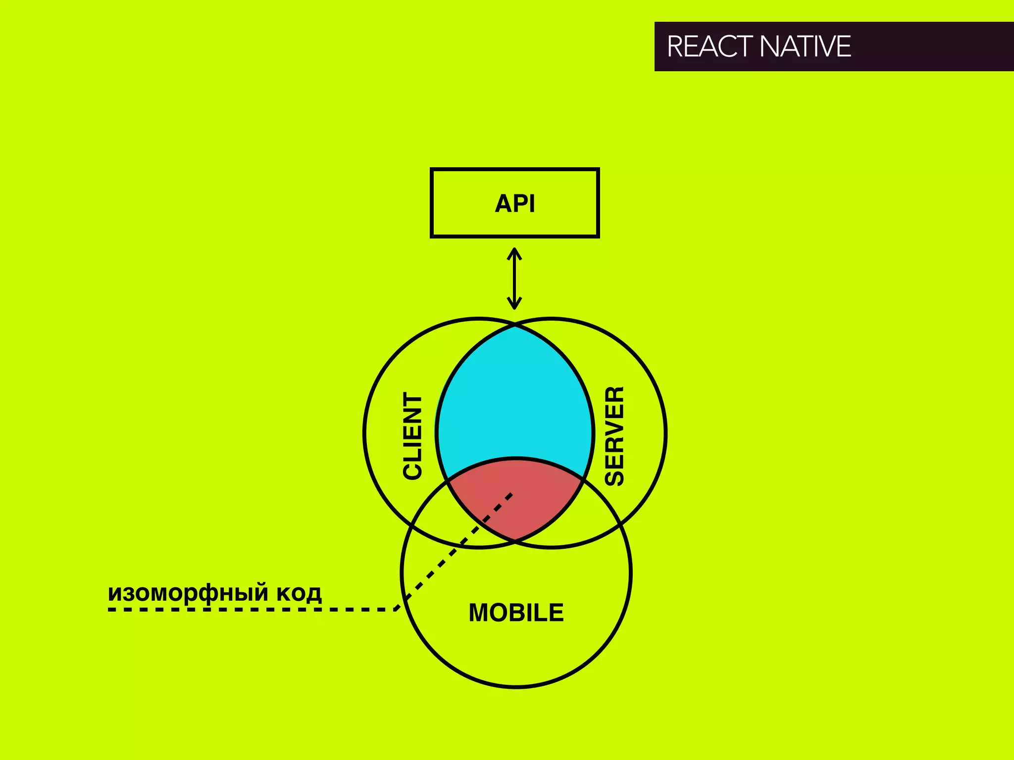 REACT NATIVE
CLIENT
SERVER
изоморфный код
API
MOBILE
 