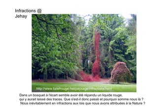 Infractions @
Jehay




             http://www.listefrouge.net/paysage/infractions.html
  Dans un bosquet à l'écart semble avoir été répandu un liquide rouge,
  qui y aurait laissé des traces. Que s'est-il donc passé et pourquoi somme nous là ?
   Nous inévitablement en infractions aux lois que nous avons attribuées à la Nature ?
 