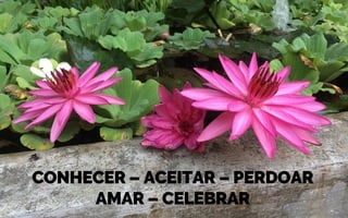 CONHECER – ACEITAR – PERDOAR
AMAR – CELEBRAR
 