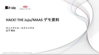 Copyright ? 2016 Bit-isle Equinix Inc. All Rights Reserved
HACK! THE Juju/MAAS ǥY
ӥåȥ?˥
ɽ v
 