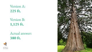 Version A:
225 ft.
Version B:
1,125 ft.
Actual answer:
380 ft.
 