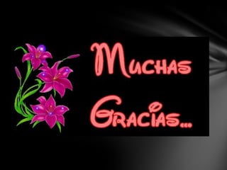 Hacm40 eq2-rational rose