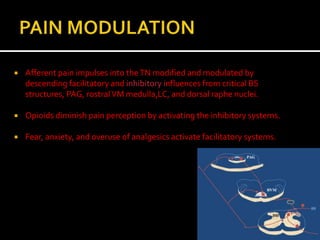    Afferent pain impulses into the TN modified and modulated by
    descending facilitatory and inhibitory influences from critical BS
    structures, PAG, rostral VM medulla,LC, and dorsal raphe nuclei.

   Opioids diminish pain perception by activating the inhibitory systems.

   Fear, anxiety, and overuse of analgesics activate facilitatory systems.
 