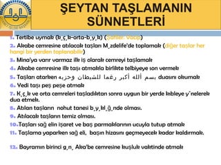 ŞEYTAN TAŞLAMANIN SÜNNETLERİ 1.  Tertibe uymak (küçük-orta-büyük) ( Şafiler: Vacip )  2.  Akabe cemresine atılacak taşları Müzdelife’de toplamak ( diğer taşlar her hangi bir yerden toplanabilir ) 3.  Mina’ya varır varmaz ilk iş olarak cemreyi taşlamak 4.  Akabe cemresine ilk taşı atmakla birlikte telbiyeye son vermek 5.  Taşları atarken  بسم ألله أكبر رغما للشيطان وحزبه   duasını okumak 6.  Yedi taşı peş peşe atmak  7.  Küçük ve orta cemreleri taşladıktan sonra uygun bir yerde kıbleye yönelerek dua etmek.  8.  Atılan taşların  nohut tanesi büyüklüğünde olması.  9.  Atılacak taşların temiz olması.  10. Taşları sağ elin işaret ve baş parmaklarının ucuyla tutup atmak 11.  Taşlama yaparken sağ eli,  başın hizasını geçmeyecek kadar kaldırmak. 12.  Bayramın birinci günü Aka’be cemresine kuşluk vaktinde atmak  