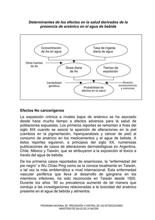 PROGRAMA NACIONAL DE PREVENCIÓN Y CONTROL DE LAS INTOXICACIONES
MINISTERIO DE SALUD DE LA NACION
Concentración
de As en agua
Tasa de ingesta
diaria de agua
Dosis diaria
de As
Probabilidad de
efectos en la salud
Tiempo de
exposición
Otras fuentes
de As
Variabilidad
genética
Situación
socioeconómica
y nutricional
Determinantes de los efectos en la salud derivados de la
presencia de arsénico en el agua de bebida
Efectos No cancerígenos
La exposición crónica a niveles bajos de arsénico se ha asociado
desde hace mucho tiempo a efectos adversos para la salud de
poblaciones expuestas. Los primeros reportes se remontan a fines del
siglo XIX cuando se asoció la aparición de alteraciones en la piel
(cambios en la pigmentación, hiperqueratosis y cáncer de piel) al
consumo de arsénico en los medicamentos y el agua de bebida. A
éstos reportes siguieron, a principios del siglo XX, numerosas
publicaciones de casos de alteraciones dermatológicas en Argentina,
Chile, México y Taiwán, que se atribuyeron a la exposición al tóxico a
través del agua de bebida.
De los primeros casos reportados de arsenicosis, la “enfermedad del
pie negro” o Wu Chiao Ping como se la conoce localmente en Taiwán,
s tal vez la más emblemática a nivel internacional. Esta enfermedad
vascular periférica que lleva al desarrollo de gangrena en los
miembros inferiores, ha sido reconocida en Taiwán desde 1920.
Durante los años ´50 su prevalencia aumentó de tal manera que
condujo a las investigaciones relacionadas a la toxicidad del arsénico
presente en el agua de bebida y alimentos.
 