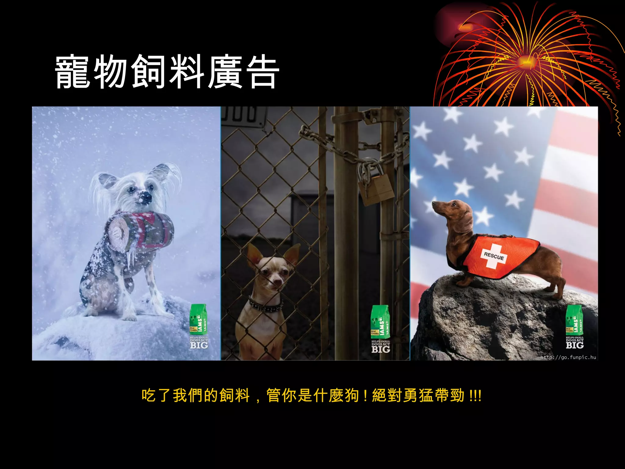 寵物飼料廣告  吃了我們的飼料，管你是什麼狗 ! 絕對勇猛帶勁 !!! 