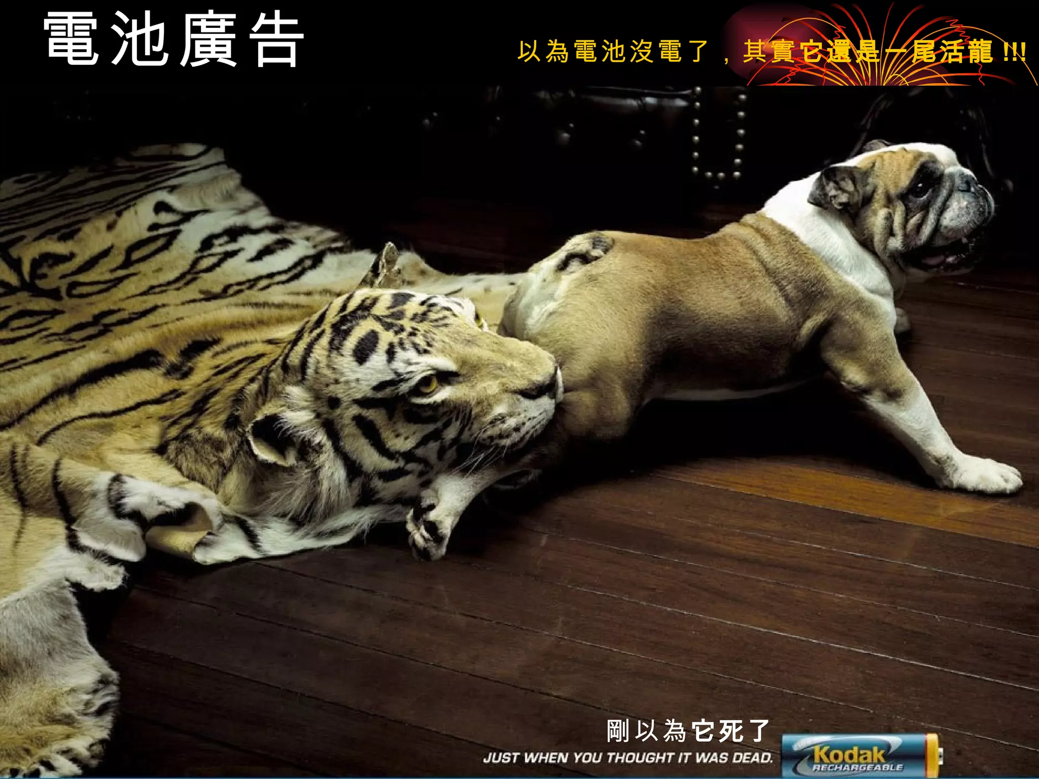 電池廣告   剛以為 它死了 以為電池沒電了，其實 它還是一尾活龍 !!! 