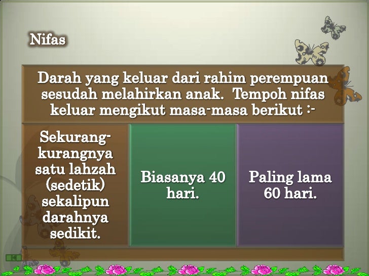 Hadas Kecil Dan Hadas Besar