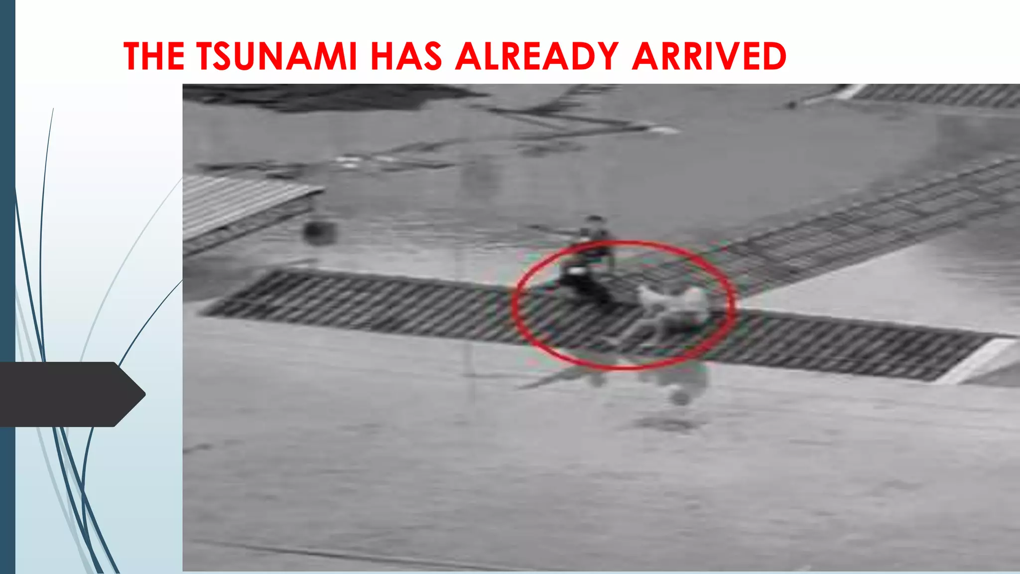 THE TSUNAMI HAS ALREADY ARRIVED