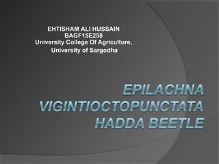 EHTISHAM ALI HUSSAIN
BAGF15E258
University College Of Agriculture,
University of Sargodha
 