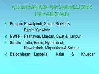  Punjab: Rawalpindi, Gujrat, Sialkot &
Rahim Yar Khan
 NWFP: Peshawar, Mardan, Swat & Haripur
 Sindh: Tatta, Badin, Hyderabad,
Nawabshah, Mirpurkhas & Sukkur
 Balochistan: Lasbella, Kalat & Khuzdar
 