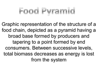Graphic representation of the structure of a
food chain, depicted as a pyramid having a
   broad base formed by producers and
      tapering to a point formed by end
  consumers. Between successive levels,
 total biomass decreases as energy is lost
               from the system
 