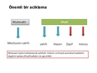 Önemli bir aciklama
Mütevatir hadis herhalukarda sahihdir. Hüküm ve Sened acisindan hadislerin
dagilimi sadece Ahad hadisler icin gecerlidir.
 
