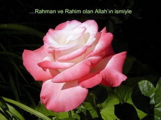 …Rahman ve Rahim olan Allah‘ın ismiyle
 