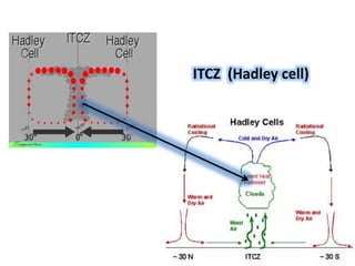 ITCZ (Hadley cell)
 