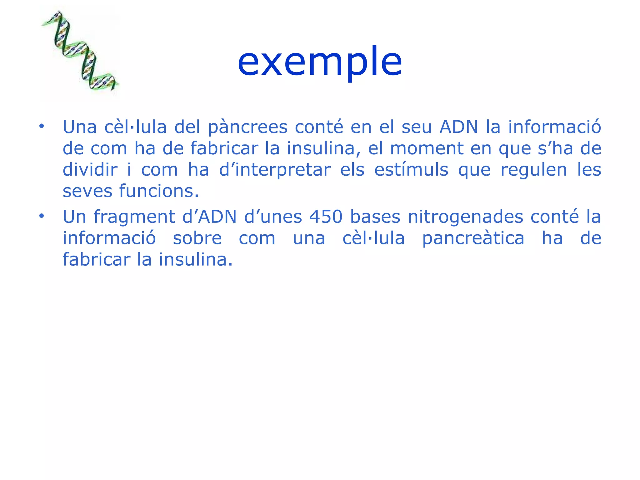 exemple Una cèl·lula del pàncrees conté en el seu ADN la informació de com ha de fabricar la insulina, el moment en que s’ha de dividir i com ha d’interpretar els estímuls que regulen les seves funcions. Un fragment d’ADN d’unes 450 bases nitrogenades conté la informació sobre com una cèl·lula pancreàtica ha de fabricar la insulina. 