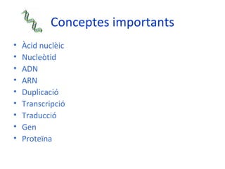 Conceptes importants <ul><li>Àcid nuclèic </li></ul><ul><li>Nucleòtid </li></ul><ul><li>ADN </li></ul><ul><li>ARN </li></u...
