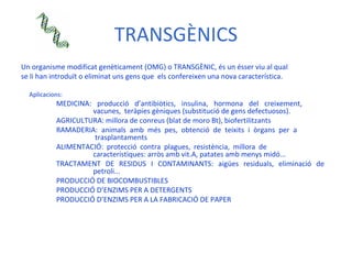 TRANSGÈNICS <ul><li>Un organisme modificat genèticament (OMG) o TRANSGÈNIC, és un ésser viu al qual </li></ul><ul><li>se l...