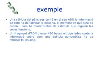 exemple <ul><li>Una cèl·lula del pàncrees conté en el seu ADN la informació de com ha de fabricar la insulina, el moment e...