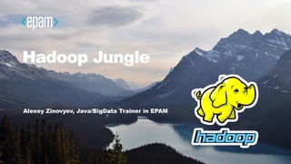 Hadoop Jungle
Alexey Zinovyev, Java/BigData Trainer in EPAM
 