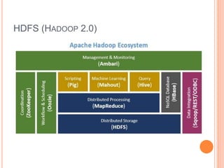 HDFS (HADOOP 2.0)
 