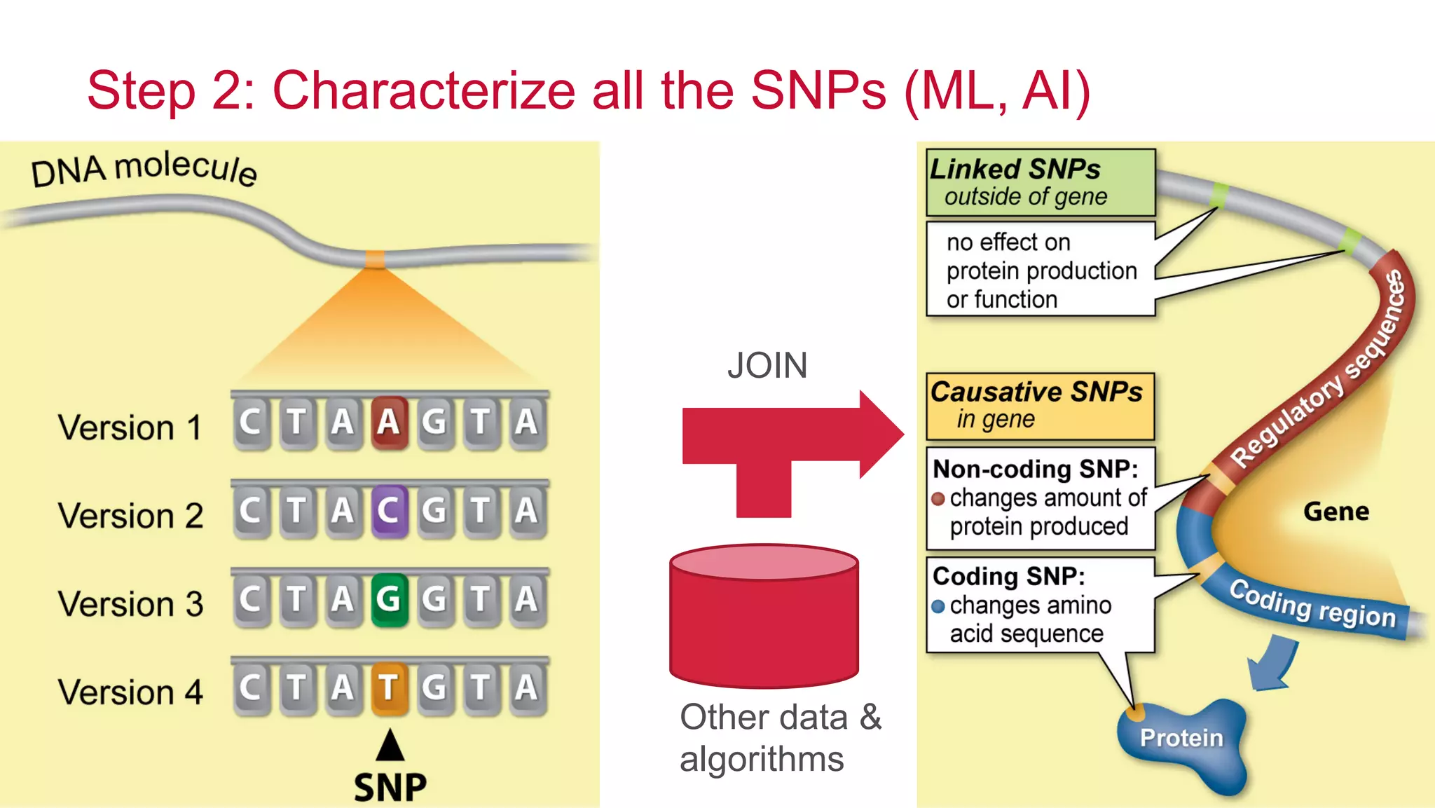 ®
© 2014 MapR Technologies 10
Step 2: Characterize all the SNPs (ML, AI)
Other data &
algorithms
JOIN
 