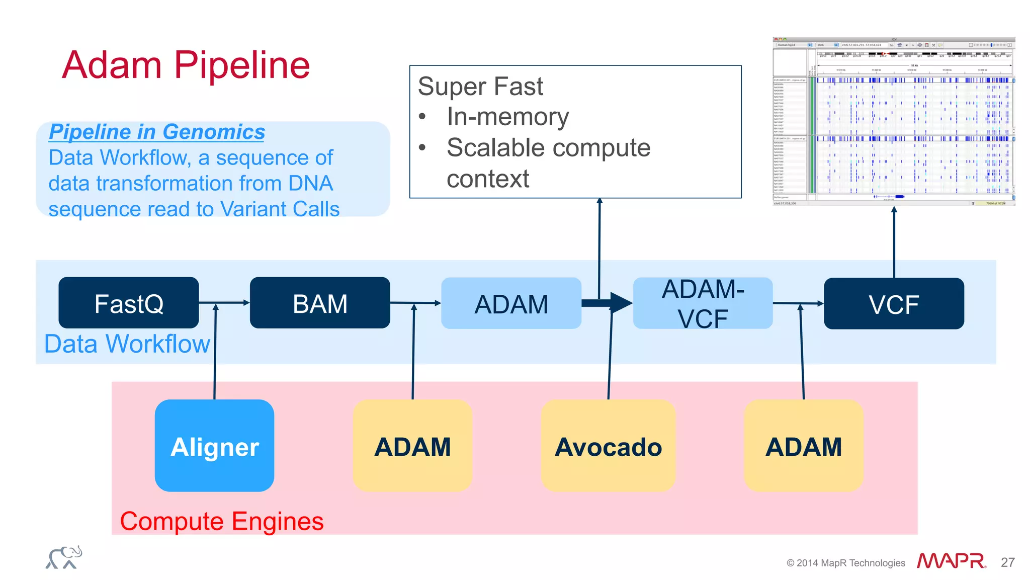 ®
© 2014 MapR Technologies 27
Compute Engines
Data Workflow
Adam Pipeline
FastQ BAM ADAM
ADAM-
VCF
VCF
AvocadoADAM ADAMAligner
Super Fast
•  In-memory
•  Scalable compute
context
Pipeline in Genomics
Data Workflow, a sequence of
data transformation from DNA
sequence read to Variant Calls
 