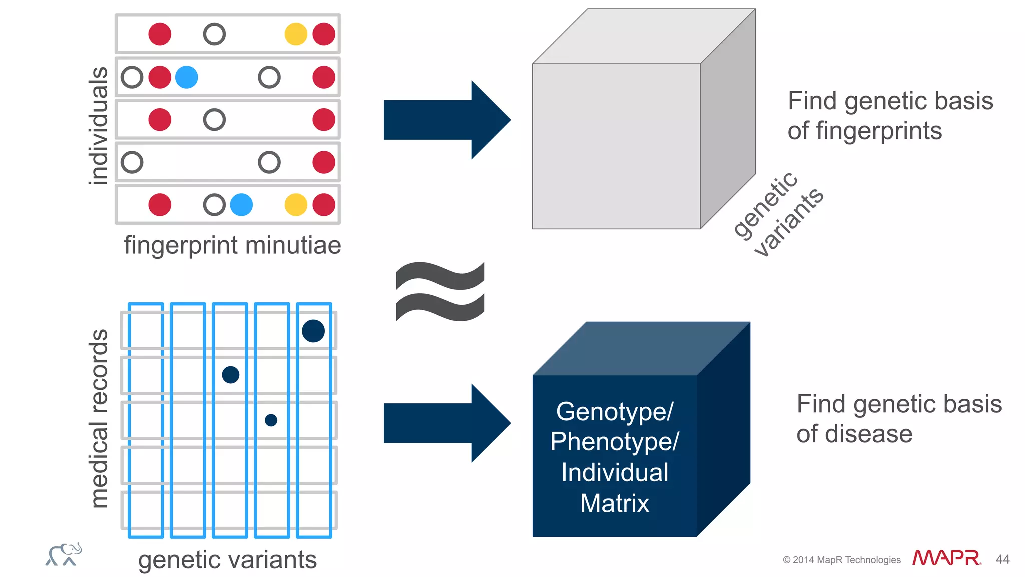 ®
© 2014 MapR Technologies 44
Genotype/
Phenotype/
Individual
Matrix
≈
individuals
fingerprint minutiae
Find genetic basis
of fingerprints
medicalrecords
genetic variants
Find genetic basis
of disease
 
