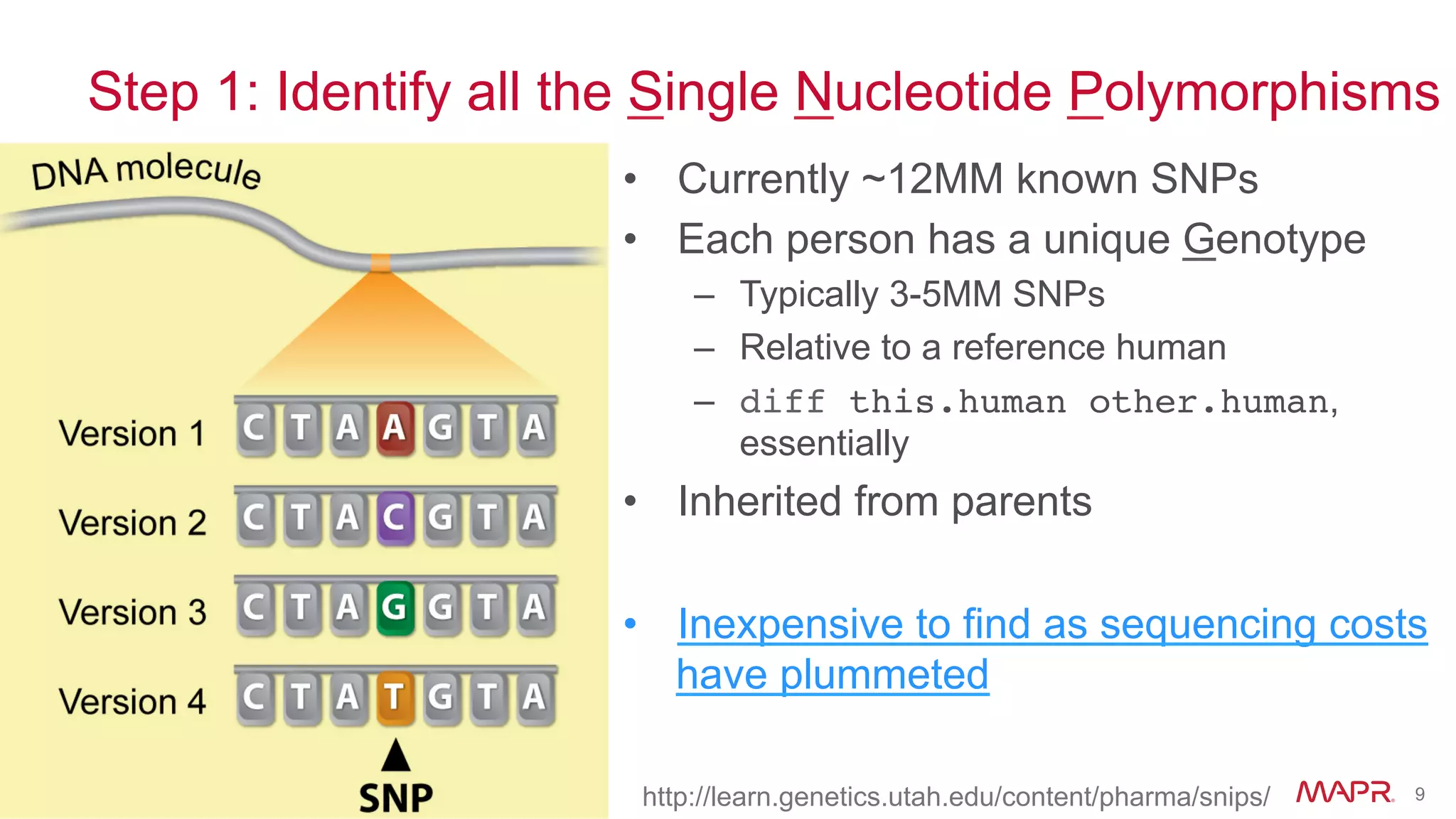 ®
© 2014 MapR Technologies 9
Step 1: Identify all the Single Nucleotide Polymorphisms
•  Currently ~12MM known SNPs
•  Each person has a unique Genotype
–  Typically 3-5MM SNPs
–  Relative to a reference human
–  diff this.human other.human,
essentially
•  Inherited from parents
•  Inexpensive to find as sequencing costs
have plummeted
http://learn.genetics.utah.edu/content/pharma/snips/
 