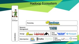Data
Streaming
Data Injection
Resource
Management
coordination
Processing
Storage
Data
Formats
Hadoop Ecosystem
 