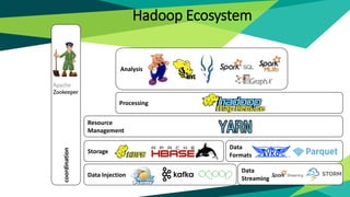 Data
Streaming
Analysis
Data Injection
Resource
Management
coordination
Processing
Storage
Data
Formats
Hadoop Ecosystem
 