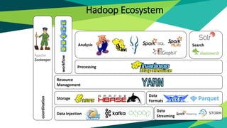 Data
Streaming
Analysis
Data Injection
Resource
Management
coordination
Processing
workflow
Storage
Search
Data
Formats
Hadoop Ecosystem
 