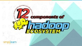 12components ofcomponents of12
 
