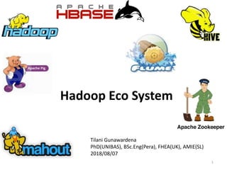 Hadoop Eco System
1
Tilani Gunawardena
PhD(UNIBAS), BSc.Eng(Pera), FHEA(UK), AMIE(SL)
2018/08/07
 