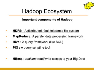 Hadoop Ecosystem
           Important components of Hadoop


•   HDFS: A distributed, fault tolerance file system
•   MapReduce: A paralel data processing framework
•   Hive : A query framework (like SQL)
•   PIG : A query scripting tool


•   HBase : realtime read/write access to your Big Data
 