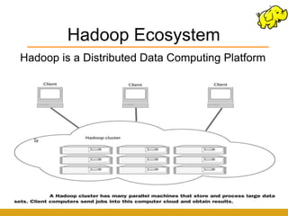 Hadoop Ecosystem
Hadoop is a Distributed Data Computing Platform
 