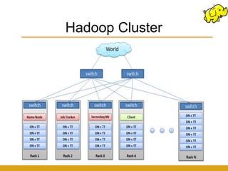 Hadoop Cluster
 