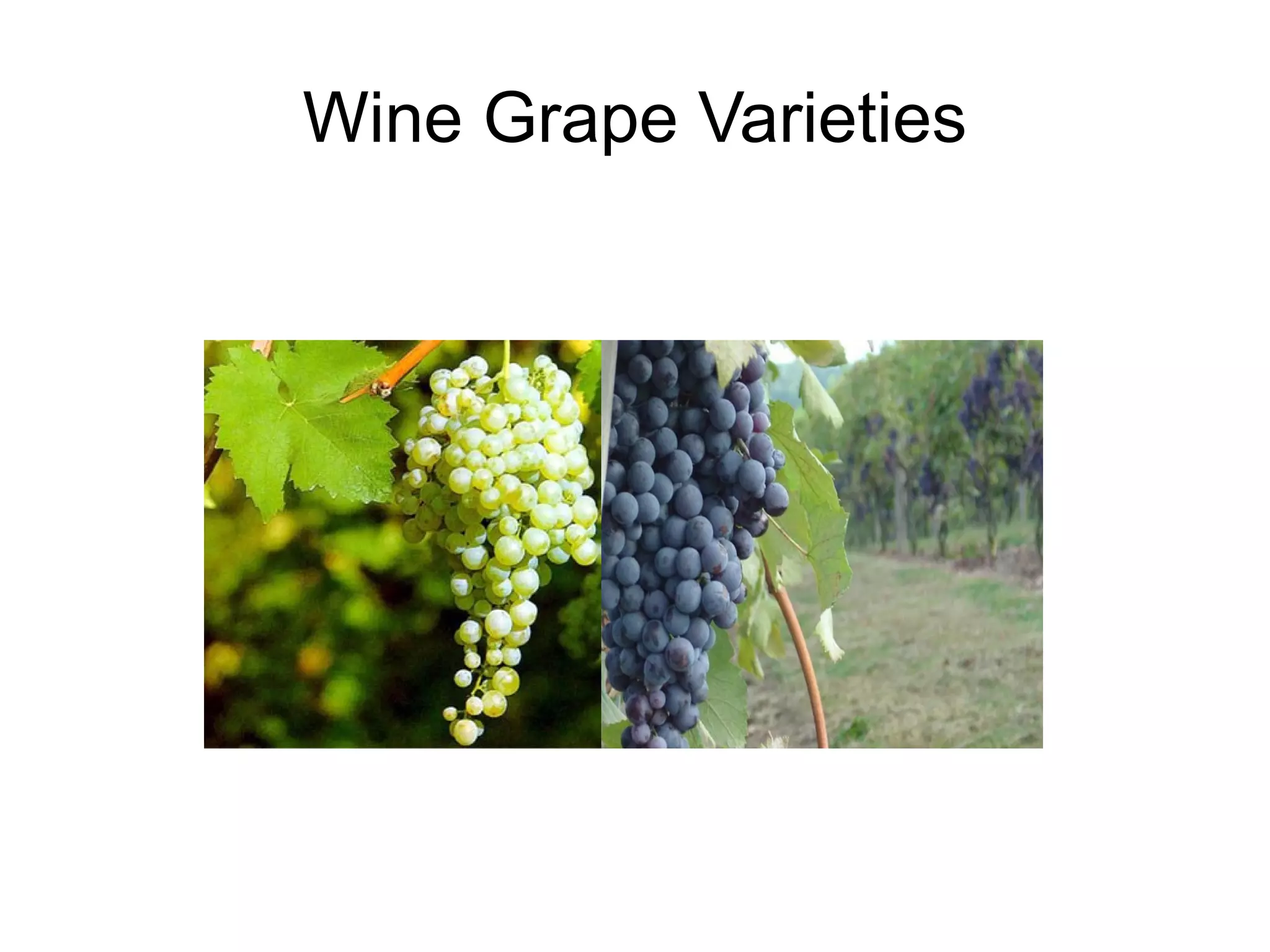 Hadoop Streaming Running MapReduce jobs  with .exe fiels  and scripts $ <list> | mapper | reducer 