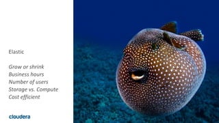 19© Cloudera, Inc. All rights reserved.
Elastic
Grow or shrink
Business hours
Number of users
Storage vs. Compute
Cost efficient
 